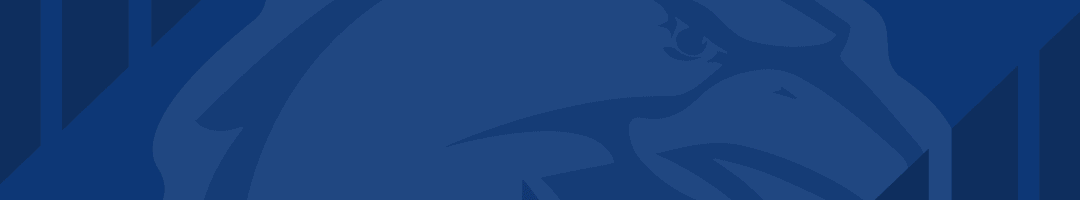 华体会体育APP下载-阵容不齐，负于广厦！青岛崂山啤酒75-90不敌浙江方兴渡